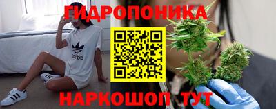 jwh Шелехов