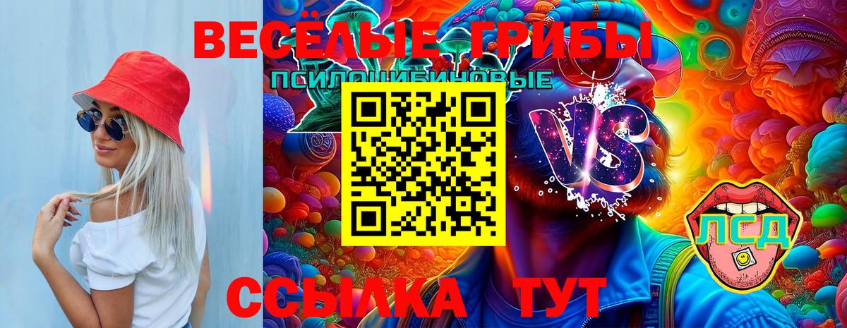 Галлюциногенные грибы MAGIC MUSHROOMS Ачхой-Мартан